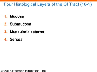 © 2013 Pearson Education, Inc.
Four Histological Layers of the GI Tract (16-1)
1. Mucosa
2. Submucosa
3. Muscularis externa
4. Serosa
 