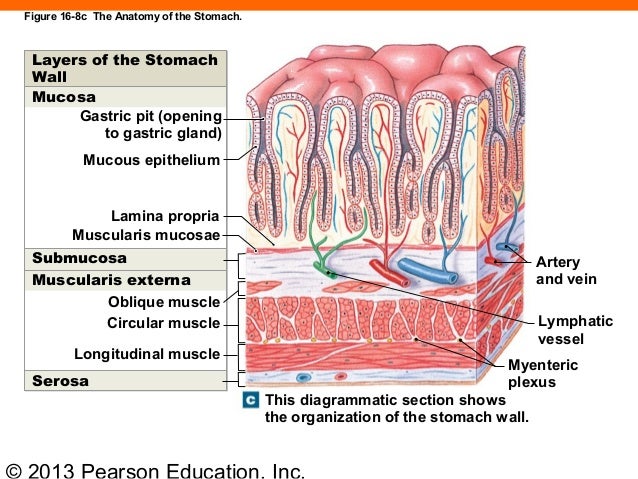 163 ch 16_lecture_presentation