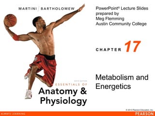 © 2013 Pearson Education, Inc.
PowerPoint®
Lecture Slides
prepared by
Meg Flemming
Austin Community College
C H A P T E R
Metabolism and
Energetics
17
 
