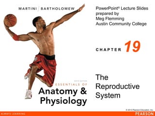 © 2013 Pearson Education, Inc.
PowerPoint®
Lecture Slides
prepared by
Meg Flemming
Austin Community College
C H A P T E R
The
Reproductive
System
19
 