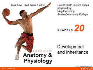 © 2013 Pearson Education, Inc.
PowerPoint®
Lecture Slides
prepared by
Meg Flemming
Austin Community College
C H A P T E R
Development
and Inheritance
20
 