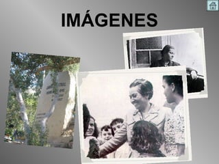 IMÁGENES 