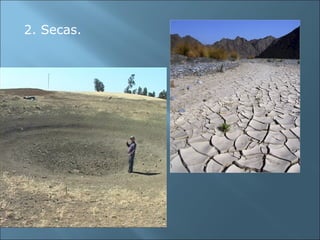 2. Secas.
 
