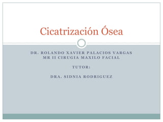 Dr. Rolando Xavier Palacios Vargas MriiCirugiaMaxilo facial Tutor: Dra. SidniaRodriguez Cicatrización Ósea 
