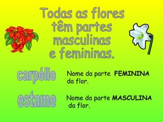 Nome da parte FEMININA
da flor.
Nome da parte MASCULINA
da flor.
 