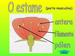 (parte masculina)
clicaclica
 