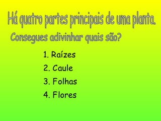 1. R
2. C
3. F
4. F
aízes
aule
olhas
lores
 
