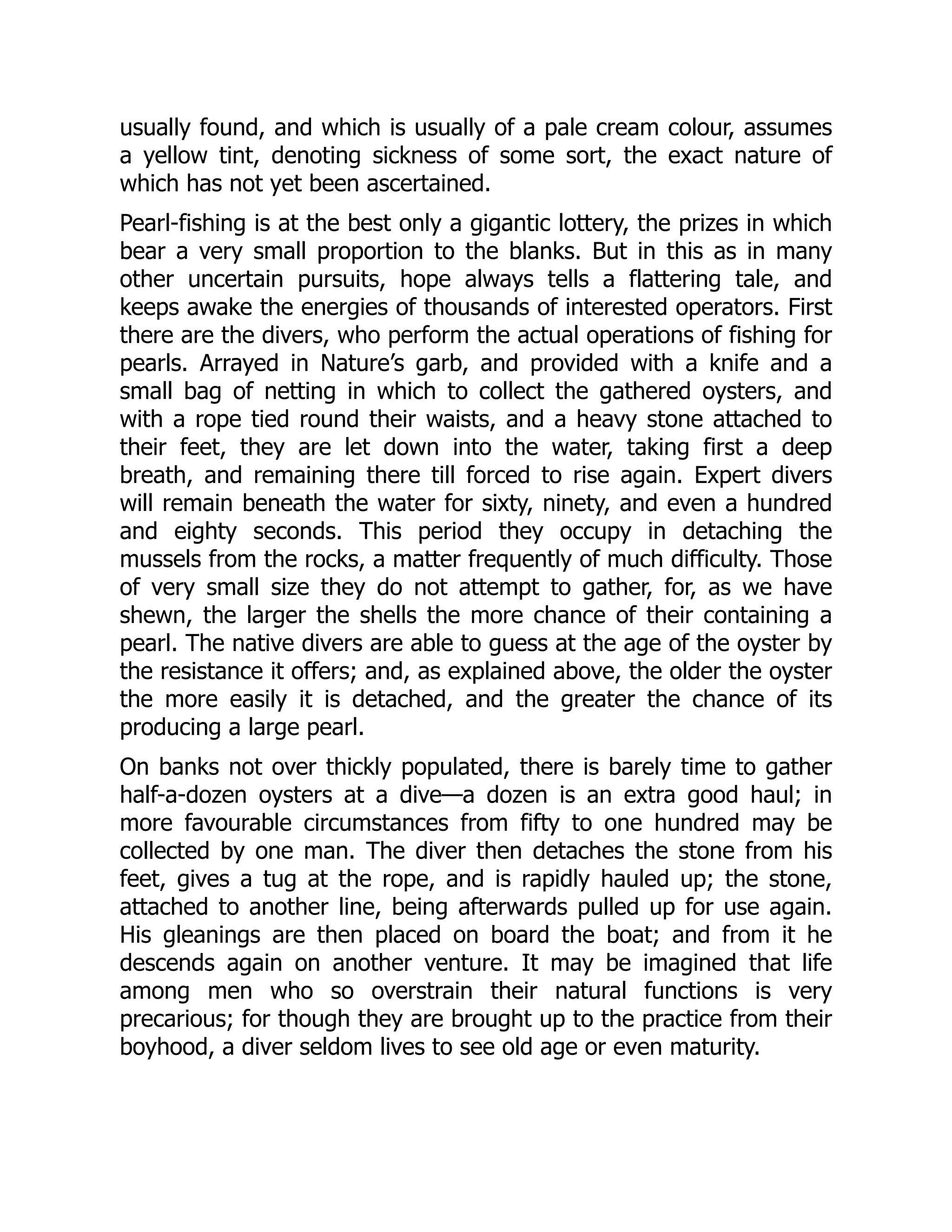 usually found, and which is usually of a pale cream colour, assumes
a yellow tint, denoting sickness of some sort, the exact nature of
which has not yet been ascertained.
Pearl-fishing is at the best only a gigantic lottery, the prizes in which
bear a very small proportion to the blanks. But in this as in many
other uncertain pursuits, hope always tells a flattering tale, and
keeps awake the energies of thousands of interested operators. First
there are the divers, who perform the actual operations of fishing for
pearls. Arrayed in Nature’s garb, and provided with a knife and a
small bag of netting in which to collect the gathered oysters, and
with a rope tied round their waists, and a heavy stone attached to
their feet, they are let down into the water, taking first a deep
breath, and remaining there till forced to rise again. Expert divers
will remain beneath the water for sixty, ninety, and even a hundred
and eighty seconds. This period they occupy in detaching the
mussels from the rocks, a matter frequently of much difficulty. Those
of very small size they do not attempt to gather, for, as we have
shewn, the larger the shells the more chance of their containing a
pearl. The native divers are able to guess at the age of the oyster by
the resistance it offers; and, as explained above, the older the oyster
the more easily it is detached, and the greater the chance of its
producing a large pearl.
On banks not over thickly populated, there is barely time to gather
half-a-dozen oysters at a dive—a dozen is an extra good haul; in
more favourable circumstances from fifty to one hundred may be
collected by one man. The diver then detaches the stone from his
feet, gives a tug at the rope, and is rapidly hauled up; the stone,
attached to another line, being afterwards pulled up for use again.
His gleanings are then placed on board the boat; and from it he
descends again on another venture. It may be imagined that life
among men who so overstrain their natural functions is very
precarious; for though they are brought up to the practice from their
boyhood, a diver seldom lives to see old age or even maturity.
 