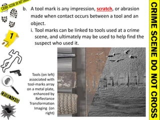 Toolmark Identification 1649659069-343.pdf
