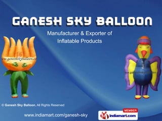 Manufacturer & Exporter of  Inflatable Products 
