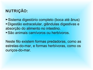 NUTRIÇÃO:
►Sistema digestório completo (boca até ânus)
►Digestão extracelular, glândulas digestivas e
absorção do alimento no intestino.
►São animais carnívoros ou herbívoros.
Neste filo existem formas predadoras, como as
estrelas-do-mar, e formas herbívoras, como os
ouriços-do-mar.
 