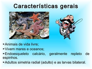 Características geraisCaracterísticas gerais
►Animais de vida livre;
►Vivem mares e oceanos;
►Endoesqueleto calcário, geralmente repleto de
espinhos.
►Adultos simetria radial (adulto) e as larvas bilateral.
 