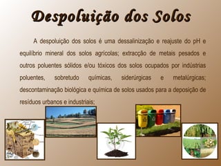 Despoluição dos SolosDespoluição dos Solos
A despoluição dos solos é uma dessalinização e reajuste do pH e
equilíbrio mineral dos solos agrícolas; extracção de metais pesados e
outros poluentes sólidos e/ou tóxicos dos solos ocupados por indústrias
poluentes, sobretudo químicas, siderúrgicas e metalúrgicas;
descontaminação biológica e química de solos usados para a deposição de
resíduos urbanos e industriais;
 