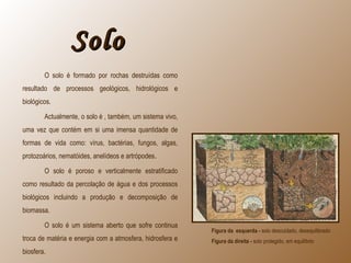 SoloSolo
O solo é formado por rochas destruídas como
resultado de processos geológicos, hidrológicos e
biológicos.
Actualmente, o solo é , também, um sistema vivo,
uma vez que contém em si uma imensa quantidade de
formas de vida como: vírus, bactérias, fungos, algas,
protozoários, nematóides, anelídeos e artrópodes.
O solo é poroso e verticalmente estratificado
como resultado da percolação de água e dos processos
biológicos incluindo a produção e decomposição de
biomassa.
O solo é um sistema aberto que sofre continua
troca de matéria e energia com a atmosfera, hidrosfera e
biosfera.
Figura da esquerda - solo descuidado, desequilibrado
Figura da direita - solo protegido, em equilíbrio
 