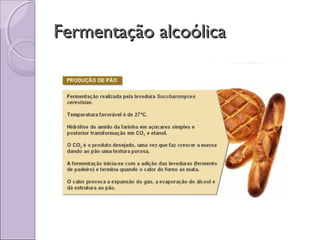 Fermentação alcoólicaFermentação alcoólica
 