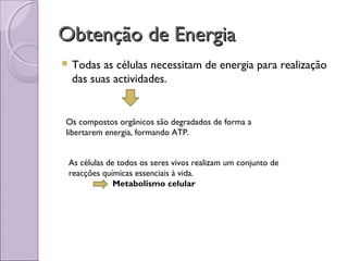 Obtenção de EnergiaObtenção de Energia
 Todas as células necessitam de energia para realização
das suas actividades.
Os compostos orgânicos são degradados de forma a
libertarem energia, formando ATP.
As células de todos os seres vivos realizam um conjunto de
reacções químicas essenciais à vida.
Metabolismo celular
 