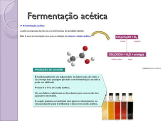 Fermentação acéticaFermentação acética
 