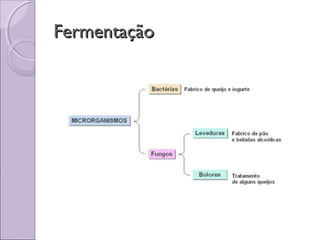 FermentaçãoFermentação
 