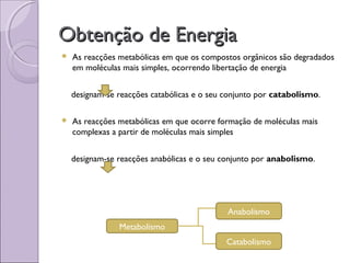 Obtenção de EnergiaObtenção de Energia
 As reacções metabólicas em que os compostos orgânicos são degradados
em moléculas mais simples, ocorrendo libertação de energia
designam-se reacções catabólicas e o seu conjunto por catabolismo.
 As reacções metabólicas em que ocorre formação de moléculas mais
complexas a partir de moléculas mais simples
designam-se reacções anabólicas e o seu conjunto por anabolismo.
Metabolismo
Anabolismo
Catabolismo
 