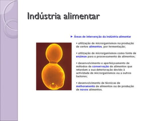 Indústria alimentarIndústria alimentar
 