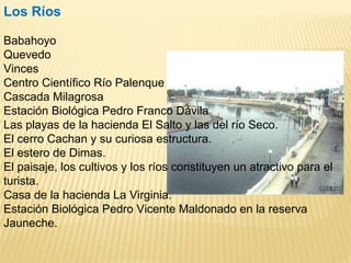 Los Ríos
Babahoyo
Quevedo
Vinces
Centro Científico Río Palenque
Cascada Milagrosa
Estación Biológica Pedro Franco Dávila
Las playas de la hacienda El Salto y las del río Seco.
El cerro Cachan y su curiosa estructura.
El estero de Dimas.
El paisaje, los cultivos y los ríos constituyen un atractivo para el
turista.
Casa de la hacienda La Virginia.
Estación Biológica Pedro Vicente Maldonado en la reserva
Jauneche.
 