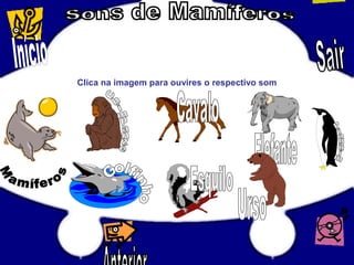 Clica na imagem para ouvires o respectivo som
 