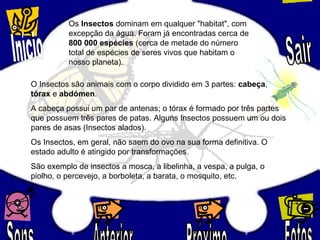 Os Insectos dominam em qualquer "habitat", com
excepção da água. Foram já encontradas cerca de
800 000 espécies (cerca de metade do número
total de espécies de seres vivos que habitam o
nosso planeta).
O Insectos são animais com o corpo dividido em 3 partes: cabeça,
tórax e abdómen.
A cabeça possui um par de antenas; o tórax é formado por três partes
que possuem três pares de patas. Alguns Insectos possuem um ou dois
pares de asas (Insectos alados).
Os Insectos, em geral, não saem do ovo na sua forma definitiva. O
estado adulto é atingido por transformações.
São exemplo de insectos a mosca, a libelinha, a vespa, a pulga, o
piolho, o percevejo, a borboleta, a barata, o mosquito, etc.
 