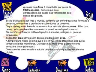 A classe das Aves é constituída por cerca de
9000 espécies, número que só é
ultrapassado, na classe dos vertebrados pela
classe dos peixes.
Estão distribuídas por todo o mundo, podendo ser encontradas nas florestas e
desertos, montanhas e pradarias e sobre todos os oceanos.
O que distingue as Aves de todos os outros animais são as penas. Além das
penas, todas as Aves têm os membros anteriores adaptados ao voo.
Os membros inferiores estão adaptados à marcha, natação ou para se
empoleirar.
Todas têm bico córneo sem dentes e todas põem ovos.
A temperatura média de uma ave é de 41 ºC, vários graus mais alta que a
temperatura dos mamíferos. Os ossos são mais leves e servem como
armazéns de ar (são ocos).
O estudo das aves fósseis e actuais permite concluir que descendem dos
répteis.
 
