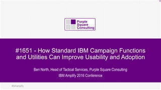 #ibmamplify
#1651 - How Standard IBM Campaign Functions
and Utilities Can Improve Usability and Adoption
Ben North, Head of Tactical Services, Purple Square Consulting
IBM Amplify 2016 Conference
 