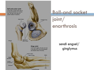 165110936 Anatomi Dan Fisiologi Sistem Muskuloskeletal pptx