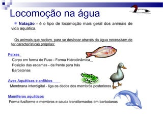 Locomoção na água
Natação - é o tipo de locomoção mais geral dos animais de
vida aquática.
Os animais que nadam, para se deslocar através da água necessitam de
ter características próprias:
Peixes
Corpo em forma de Fuso - Forma Hidrodinâmica
Posição das escamas - da frente para trás
Barbatanas
Aves Aquáticas e anfíbios
Membrana interdigital - liga os dedos dos membros posteriores
Mamíferos aquáticos
Forma fusiforme e membros e cauda transformados em barbatanas
 