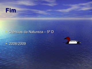 FimFim
• Ciências da Natureza – 5º DCiências da Natureza – 5º D
• 2008/20092008/2009
 