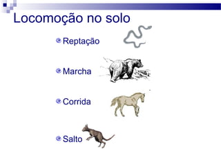 Locomoção no solo
Reptação
Marcha
Corrida
Salto
 