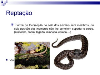 Reptação
Forma de locomoção no solo dos animais sem membros, ou
cuja posição dos membros não lhe permitem suportar o corpo.
(crocodilo, cobra, lagarto, minhoca, caracol…)
 Ver
 