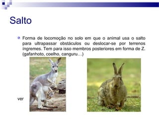 Salto
Forma de locomoção no solo em que o animal usa o salto
para ultrapassar obstáculos ou deslocar-se por terrenos
íngremes. Tem para isso membros posteriores em forma de Z.
(gafanhoto, coelho, canguru…)
ver
 