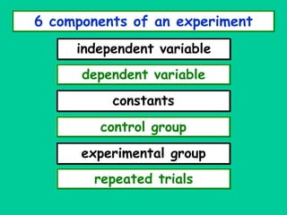 Designing Experiment | PPT