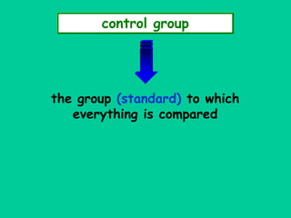 Designing Experiment | PPT