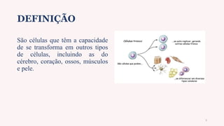 DEFINIÇÃO
São células que têm a capacidade
de se transforma em outros tipos
de células, incluindo as do
cérebro, coração, ossos, músculos
e pele.
3
 