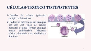 CÉLULAS-TRONCO TOTIPOTENTES
 Obtidas da mórula (primeiro
estágio embrionário);
 Podem se diferenciar em qualquer
um dos 216 tipos de células
humanas e ainda formar qualquer
anexo embrionário (placenta,
córion, alantóide, saco vitelínico e
âmnion).
5
 