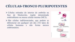 CÉLULAS-TRONCO PLURIPOTENTES
 Células retiradas do interior do embrião na
fase de blastocisto, região denominada
embrioblasto ou massa celular interna (MCI);
 São células indiferenciadas, que podem se
diferenciar em qualquer um dos 216 tipos de
células humanas e não forma anexos
embrionários.
6
 