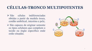CÉLULAS-TRONCO MULTIPOTENTES
 São células indiferenciadas
obtidas a partir da medula óssea,
cordão umbilical, intestino e pele;
 São capazes de originar somente
os tipos celulares que compõem o
tecido ou órgão específico onde
estão situadas.
7
 