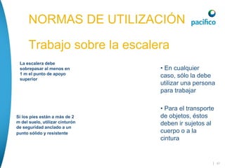 | 47
NORMAS DE UTILIZACIÓN
Trabajo sobre la escalera
NORMAS DE UTILIZACIÓN
Trabajo sobre la escalera
La escalera debe
sobrepasar al menos en
1 m el punto de apoyo
superior
Si los pies están a más de 2
m del suelo, utilizar cinturón
de seguridad anclado a un
punto sólido y resistente
• En cualquier
caso, sólo la debe
utilizar una persona
para trabajar
• Para el transporte
de objetos, éstos
deben ir sujetos al
cuerpo o a la
cintura
 
