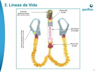 65
2. Líneas de Vida
 