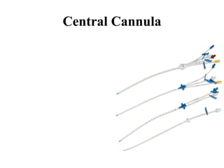 Central Cannula
 