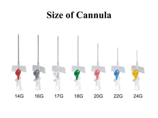 Size of Cannula
 