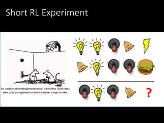 Short	RL	Experiment
?
 