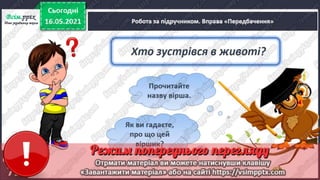 1 клас. НУШ. Українська мова. Большакова. Урок 166