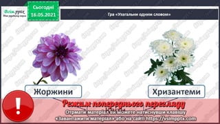 1 клас. НУШ. Українська мова. Большакова. Урок 166