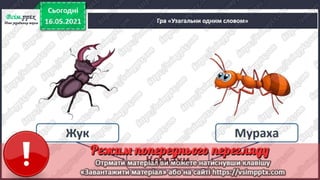 1 клас. НУШ. Українська мова. Большакова. Урок 166