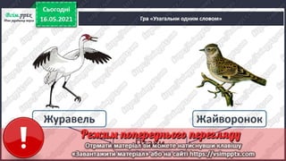 1 клас. НУШ. Українська мова. Большакова. Урок 166